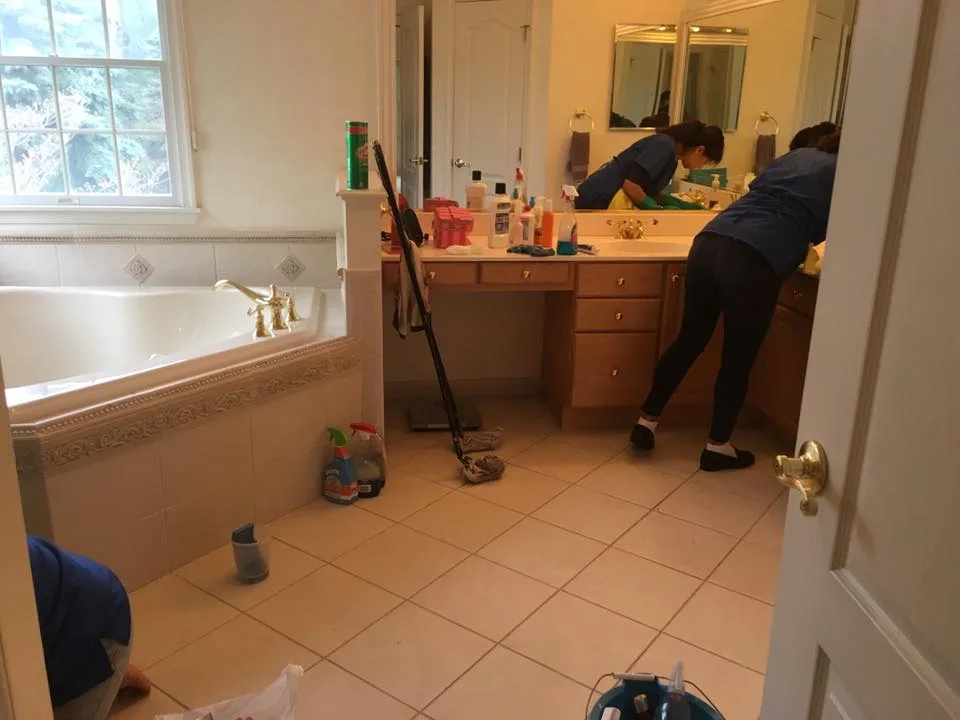 Regular Cleaning Regular Cleaning